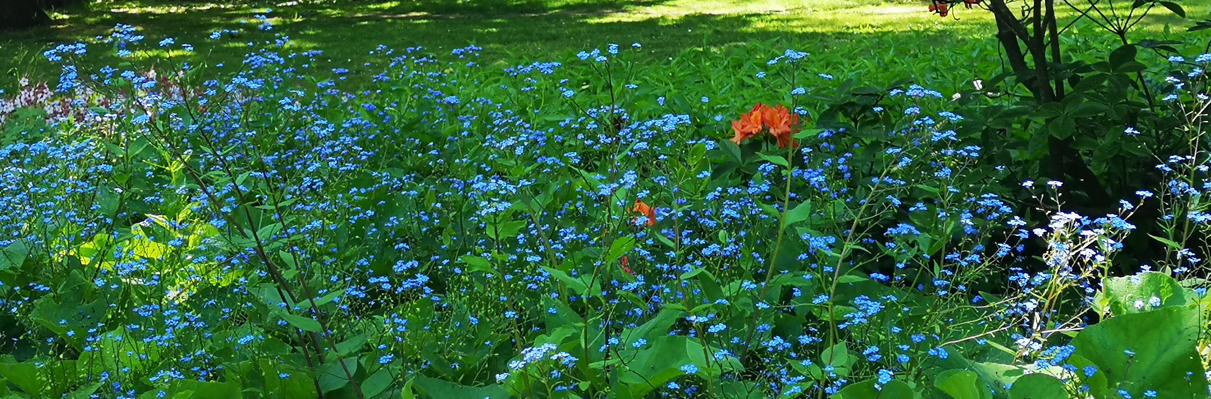 Blau beruhigt. Sagt man