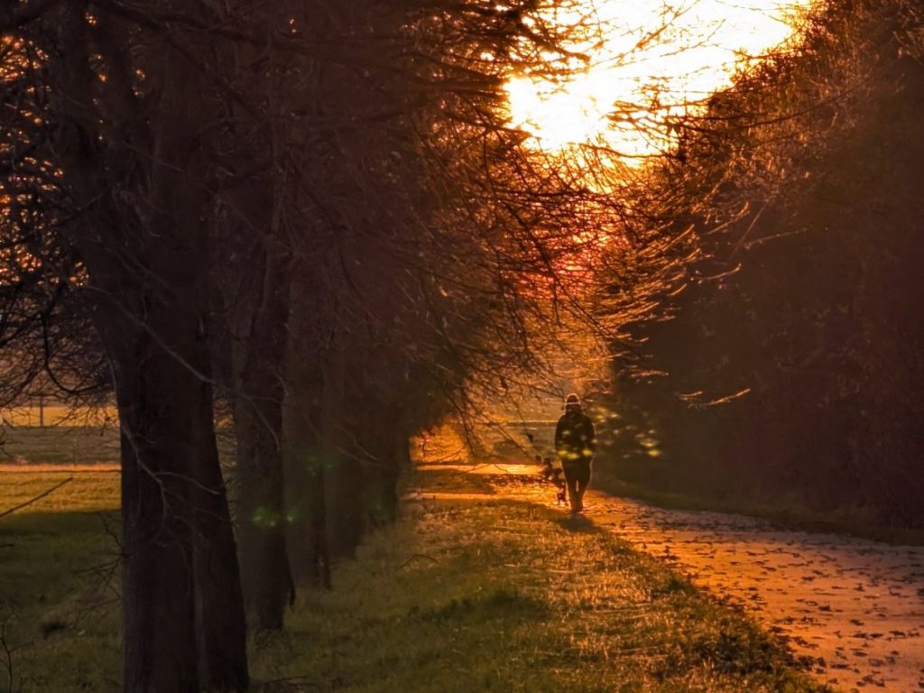 Orange. Warm und geborgen Goldenes Abendlicht zwischen Bäumen über einem Weg mit einer gehenden Person